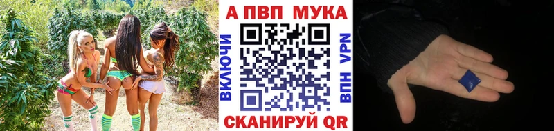 наркота  кракен ONION  Alpha-PVP мука  Сортавала 