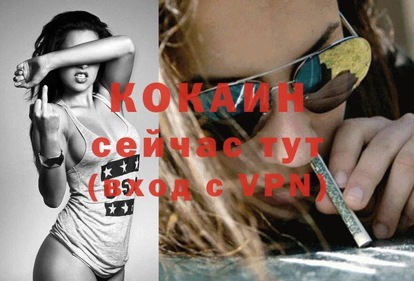 дмт Богородицк