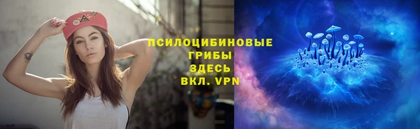 мдпв Богданович