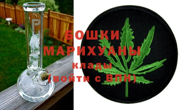 мдпв Богданович