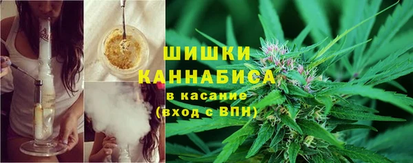 мдпв Богданович